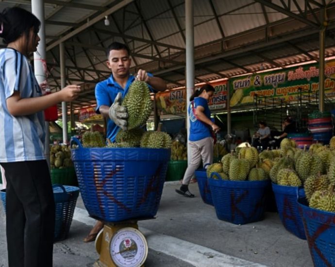 Heatwave hammers Thailand’s lucrative durian farms