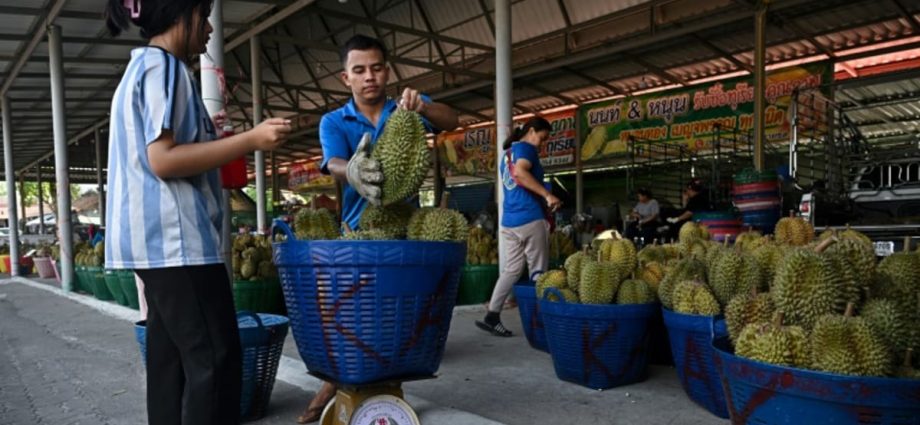 Heatwave hammers Thailand's lucrative durian farms