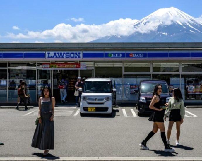 Japan’s Mount Fuji barrier delayed