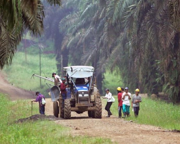 Malaysian carbon exchange to host first local carbon credit auction in July