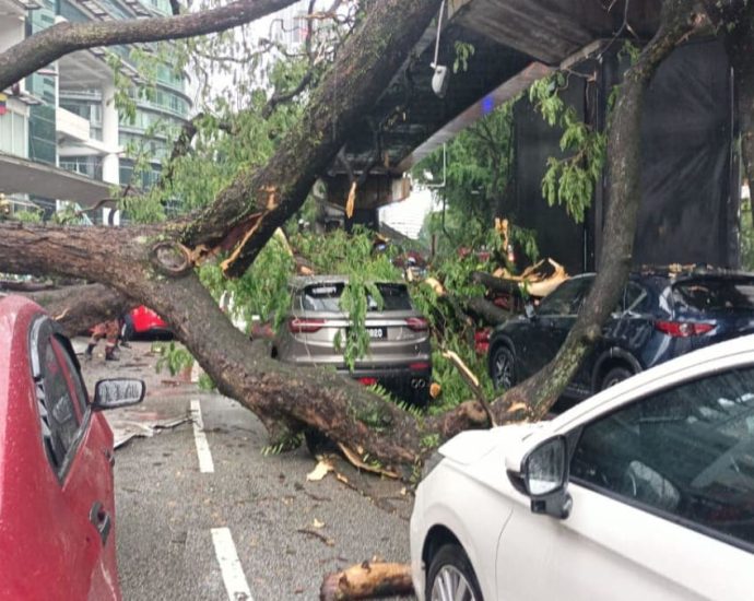 One dead after tree falls in KL, hitting 17 vehicles and monorail track