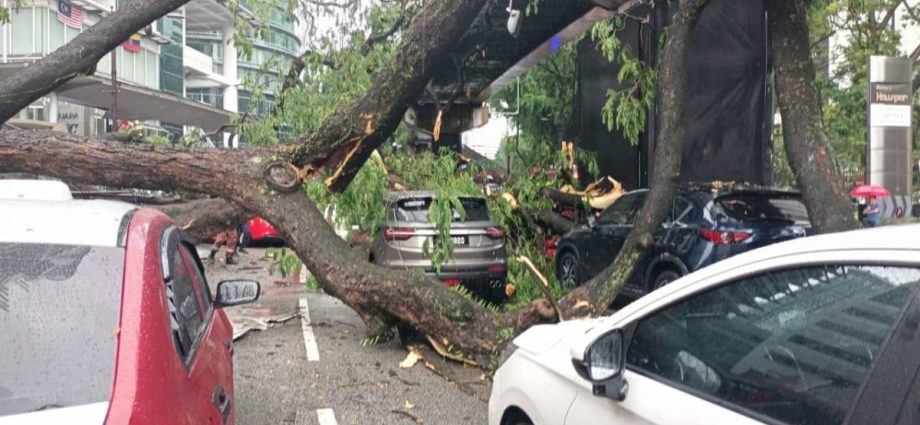 One dead after tree falls in KL, hitting 17 vehicles and monorail track
