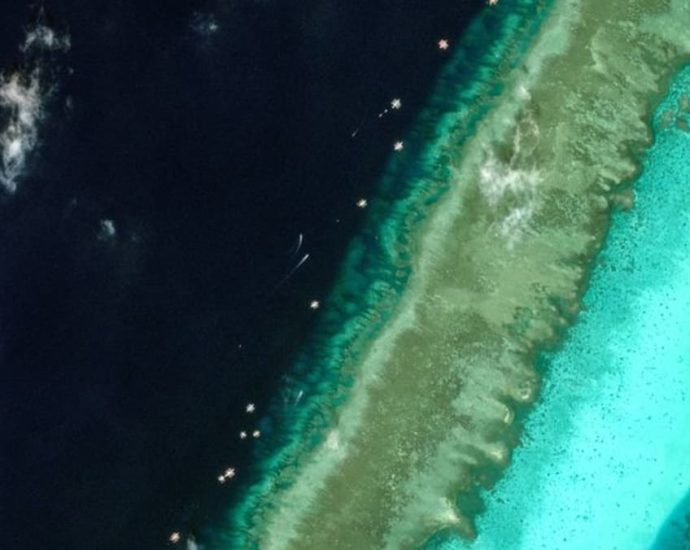 Philippines says China should allow scrutiny of disputed shoal