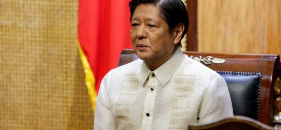 Philippines to vigorously defend territory, president Marcos says