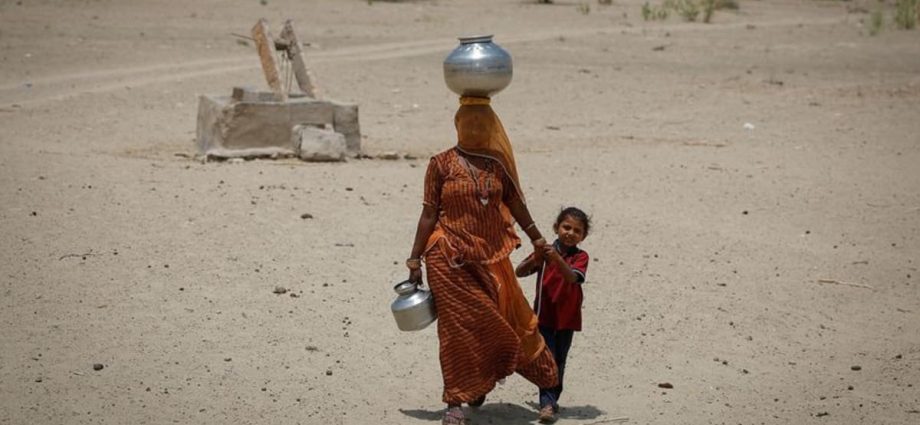 Scorching heatwave in India’s Rajasthan kills nine