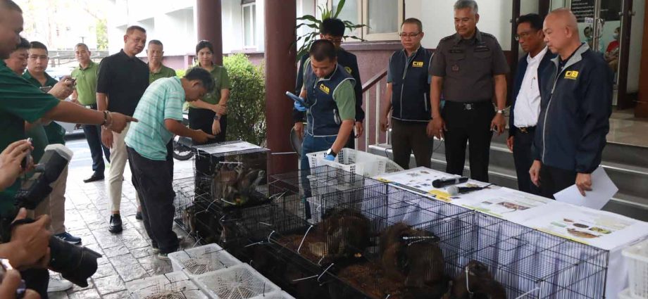 Seizure halts wildlife smuggling operation