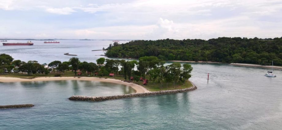 Singapore unveils plans to designate second marine park at Lazarus South, Kusu Reef