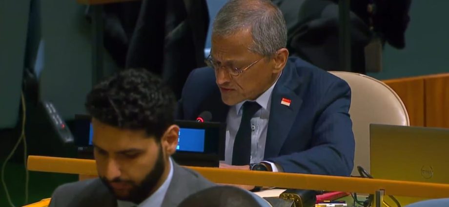 Singapore votes in favour of UN resolution supporting full Palestinian membership