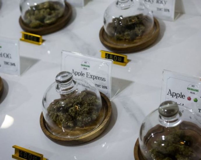 Thailand plans to require permits for medical, research use of cannabis