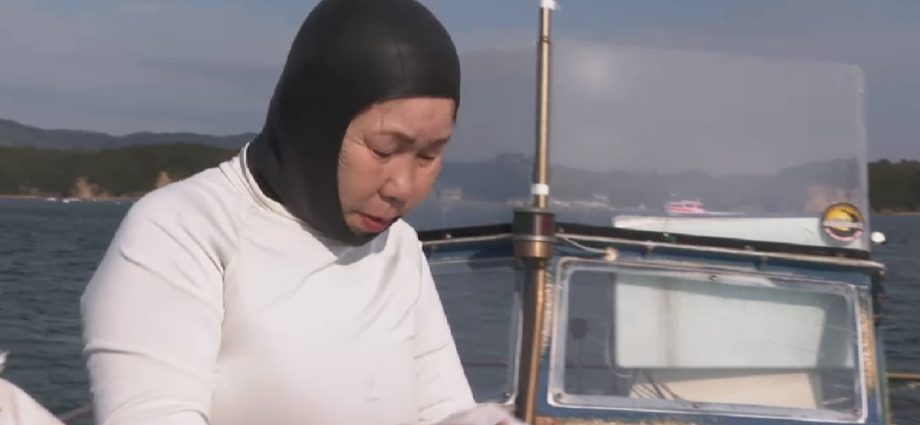 The last 'ama' fisherwomen of Japan: Free-dive fishing tradition in danger as diver numbers plunge
