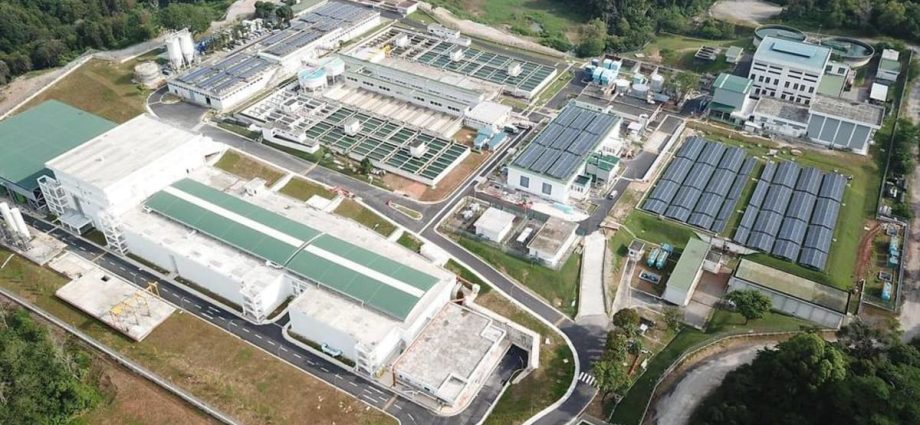 Two workers who inhaled toxic gas at PUB's Choa Chu Kang Waterworks remain in intensive care