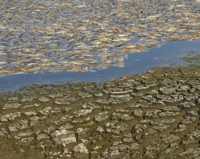 Vietnam temperature records tumble as heatwave scorches South and Southeast Asia