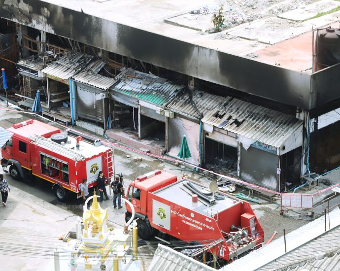 Blaze kills thousands of animals