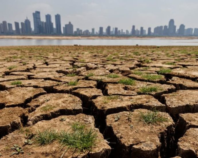 China hit by searing temperatures as Asia braces for extreme summer