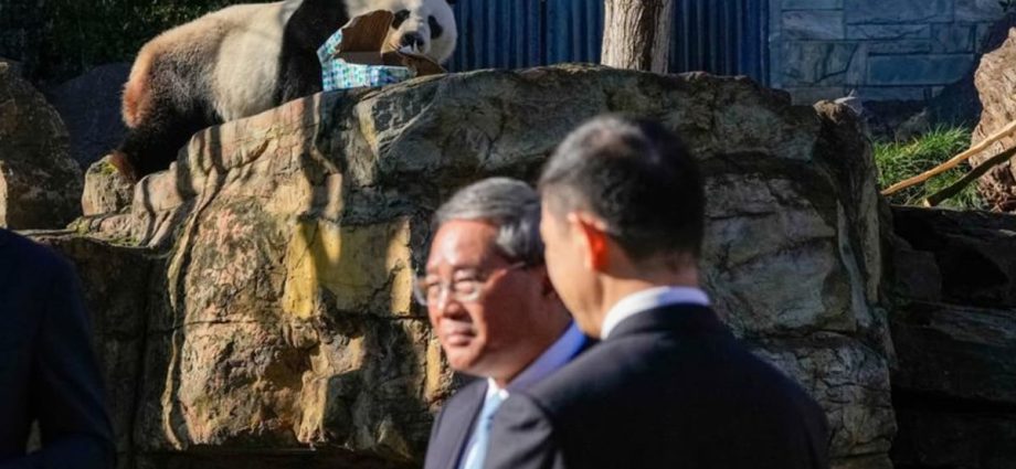 Chinese Premier Li toasts warming trade ties in Australia