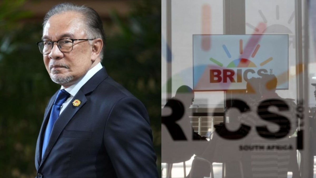 Commentary: Malaysia is a natural fit for BRICS bloc