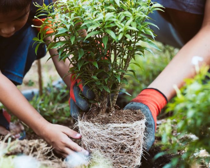 Commentary: Teaching children to care about the environment starts at home