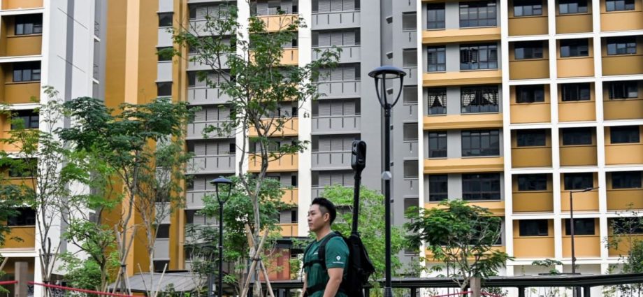 Grab mapping out newly launched Tengah HDB towns to address residents’ inaccessibility woes