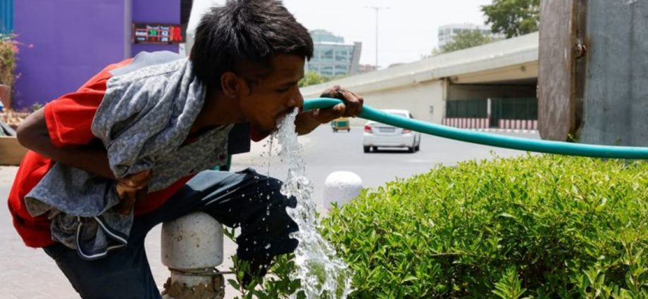 Heatwave kills dozens in India’s capital, reports Times of India