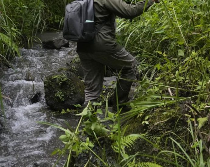 In Indonesia, women ranger teams go on patrol to slow deforestation