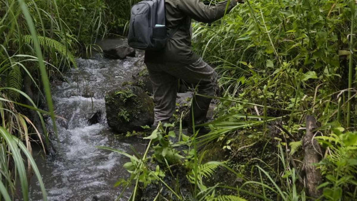 In Indonesia, women ranger teams go on patrol to slow deforestation