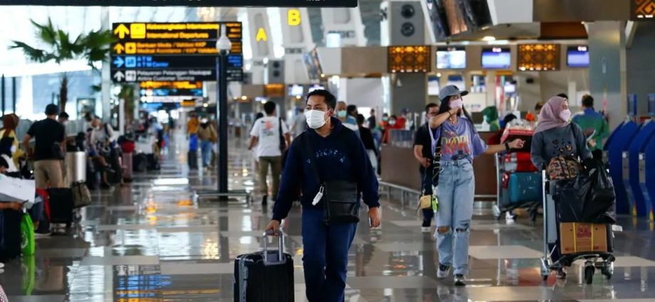 Indonesia mulls India-inspired policy to bring diaspora home by granting them some citizen rights