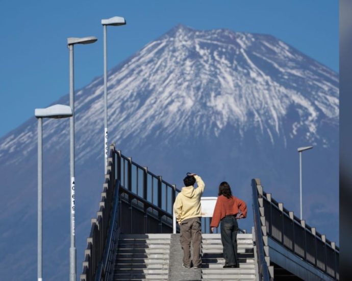 Japan to build anti-tourist fence at Mount Fuji viewpoint