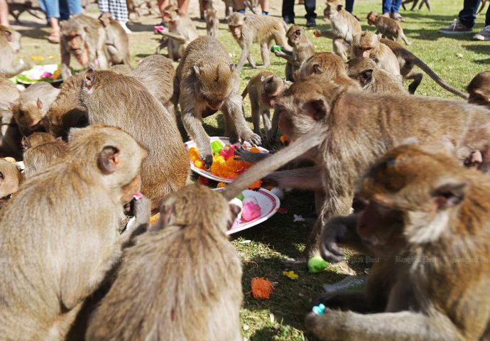 Monkey catchers beat target