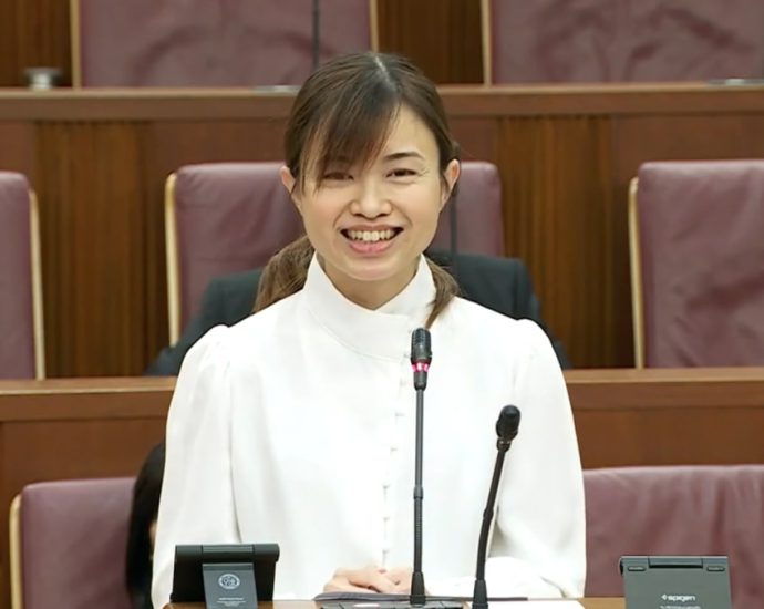 MP Tin Pei Ling joins fintech company MetaComp, leaves payment firm DCS Card Centre after 9 months