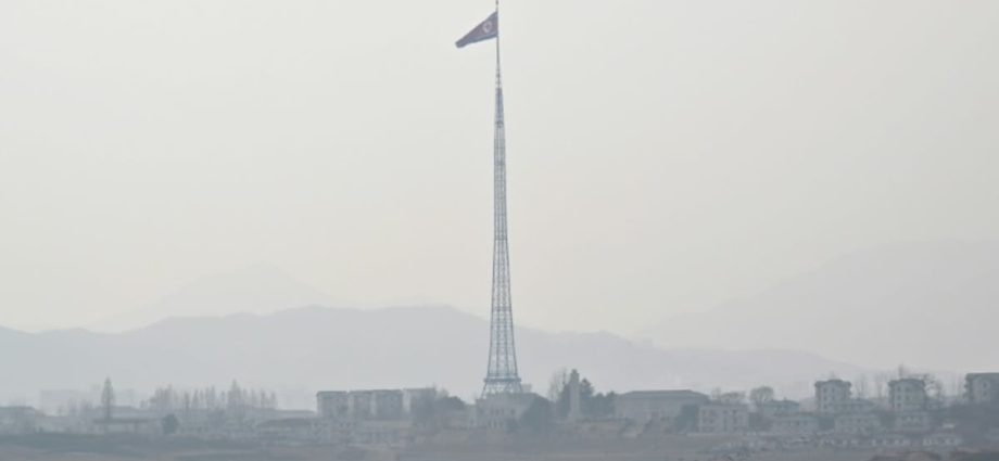 North Korea building roads, walls inside Demilitarized Zone: Report