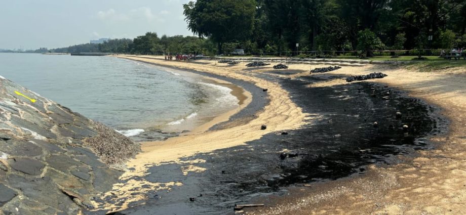 Oil spill clean-up resumes at Sentosa, East Coast Park