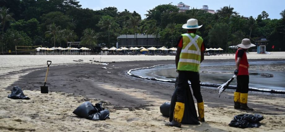 Oil spill from ship reaches East Coast Park, sea activities on Sentosa beaches halted