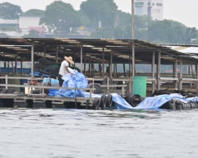 Perimeters lined with tarps, water quality checks: Singapore fish farms take precautions against oil spill