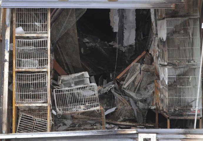 Pet market raids coming after blaze