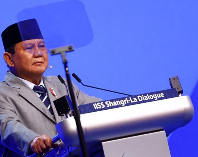 Prabowo says Indonesia willing to send peacekeeping troops to Gaza