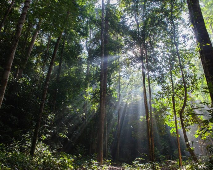 Reducing carbon footprint in Malaysia: The potential of green-tech startups