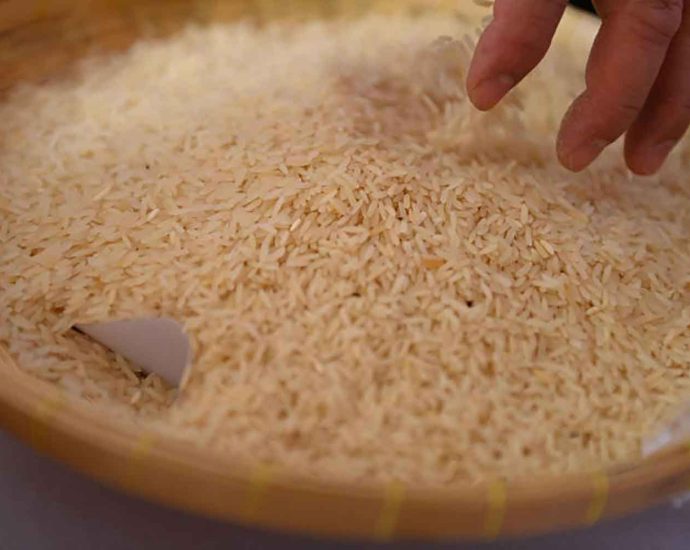 Seven bidders qualify for old rice auction