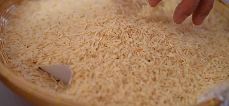 Seven bidders qualify for old rice auction