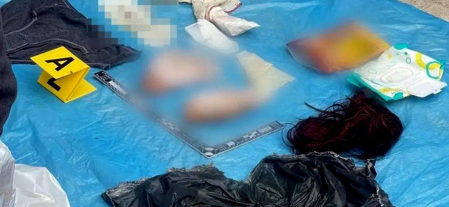 Severed hands found beneath expressway