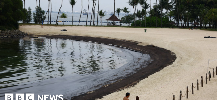Singapore struggling to clean up oil spill coating beaches