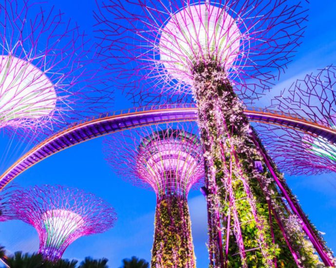 Singapore’s Gardens By The Bay is 8th best attraction in the world, according to Tripadvisor