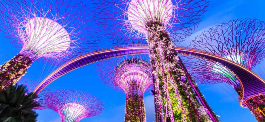 Singapore's Gardens By The Bay is 8th best attraction in the world, according to Tripadvisor