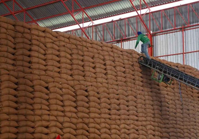 Stockpile of old rice sold off at auction