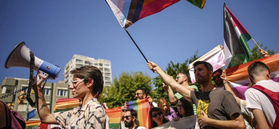 Turkey arrests at least 15 protesters at Pride rally