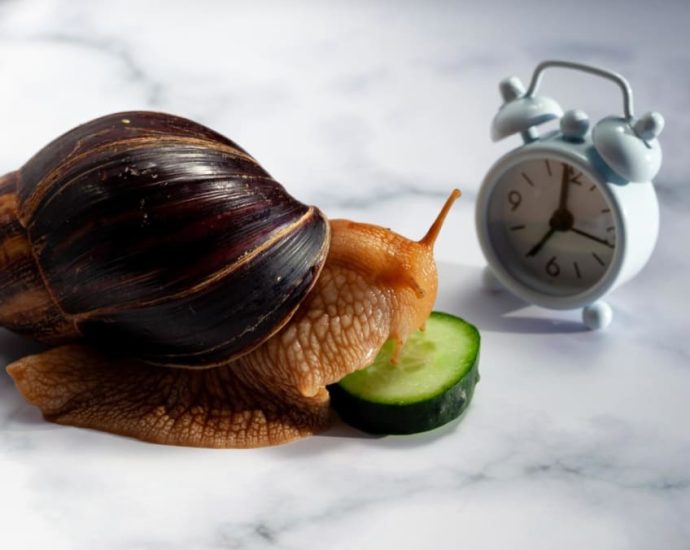 Are you a fast or slow eater? How does this affect your weight and overall health?