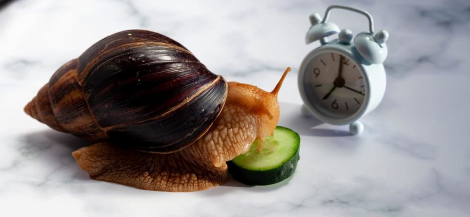 Are you a fast or slow eater? How does this affect your weight and overall health?