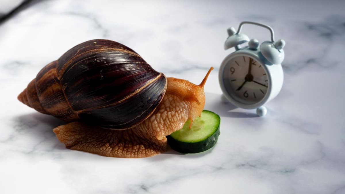 Are you a fast or slow eater? How does this affect your weight and overall health?