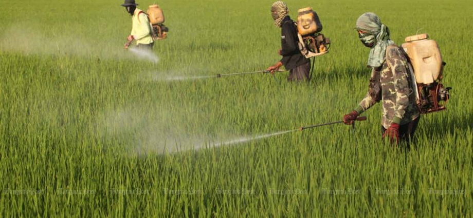 B30bn fertiliser subsidy plan raises questions