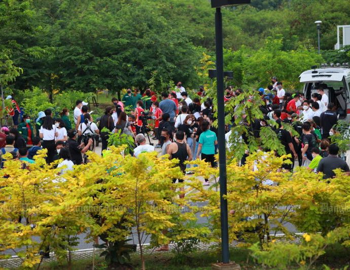Bangkok to grow another one million trees