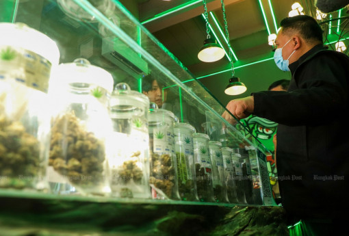 Cannabis set to return to illegal drugs list after vote
